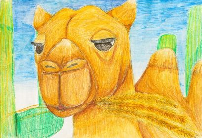 第十五屆競賽主題 : Camel Drawing Competition